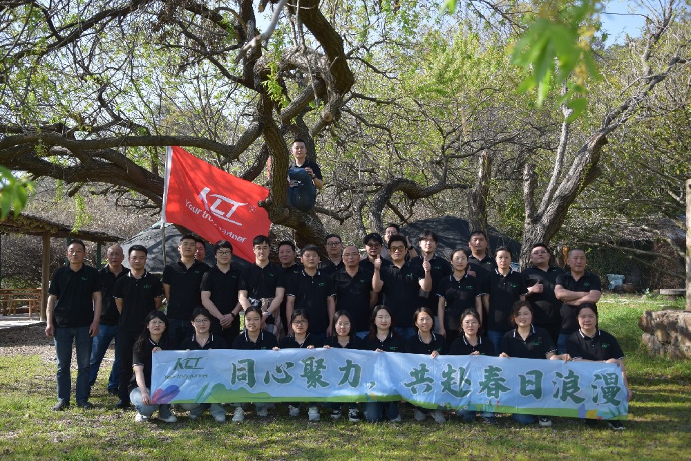 同心聚力，共赴春日浪漫